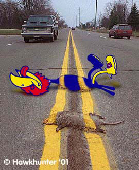 KU_roadkill.jpg